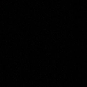 Meet your Posher, Darrin